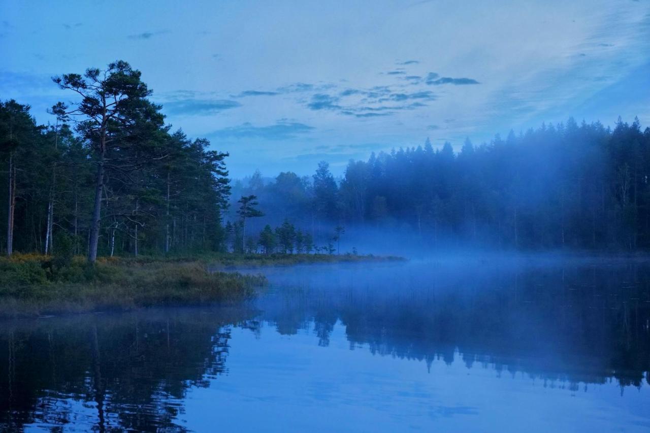 Nordic Refuge B&B Froskog Kültér fotó